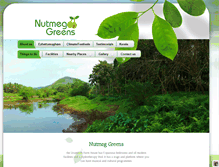 Tablet Screenshot of nutmeggreens.com